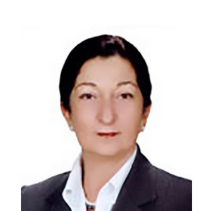 Prof. Dr. Ayşe YALIN